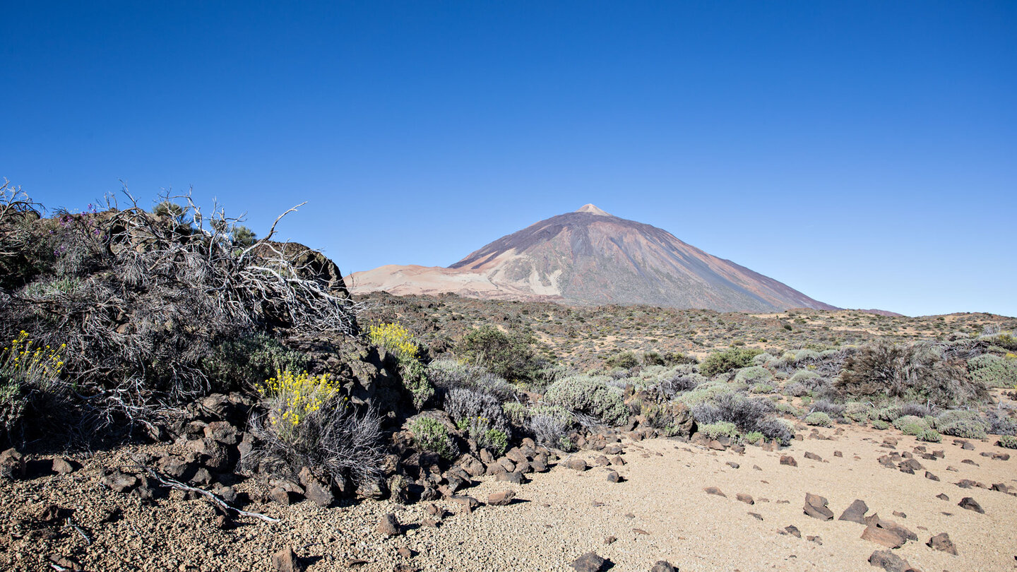 Blick Richtung Teide und Montaña Blanca vom Wanderweg 24