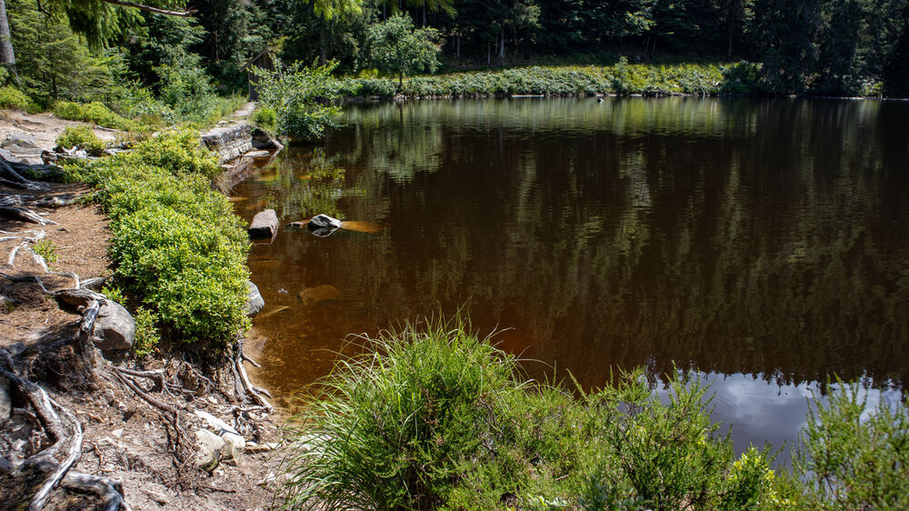 Spiegelung im Glaswaldsee im Schwarzwald Spiegelung im Glaswaldsee im Schwarzwald