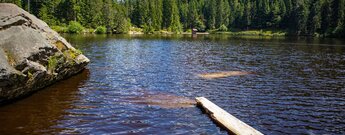 Glaswaldsee im Schwarzwald