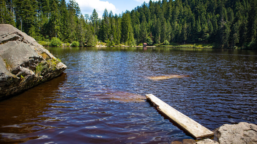 Glaswaldsee im Schwarzwald Glaswaldsee im Schwarzwald