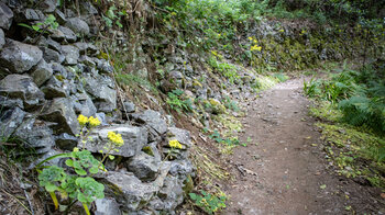Wanderweg entlang Steinmauern in der Cedro-Schlucht