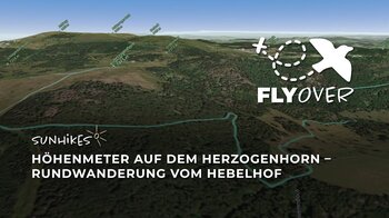 Höhenmeter auf dem Herzogenhorn: Rundwanderung ab Hebelhof im Südschwarzwald – Flyover