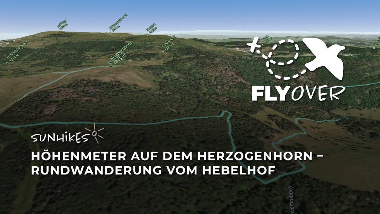 Höhenmeter auf dem Herzogenhorn: Rundwanderung ab Hebelhof im Südschwarzwald – Flyover