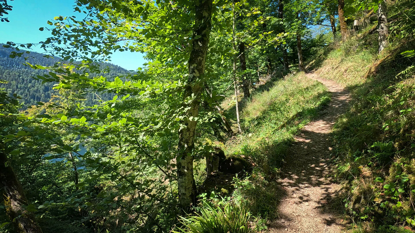 Wanderung am Schlossberg mit Blick zum Grand Ventron