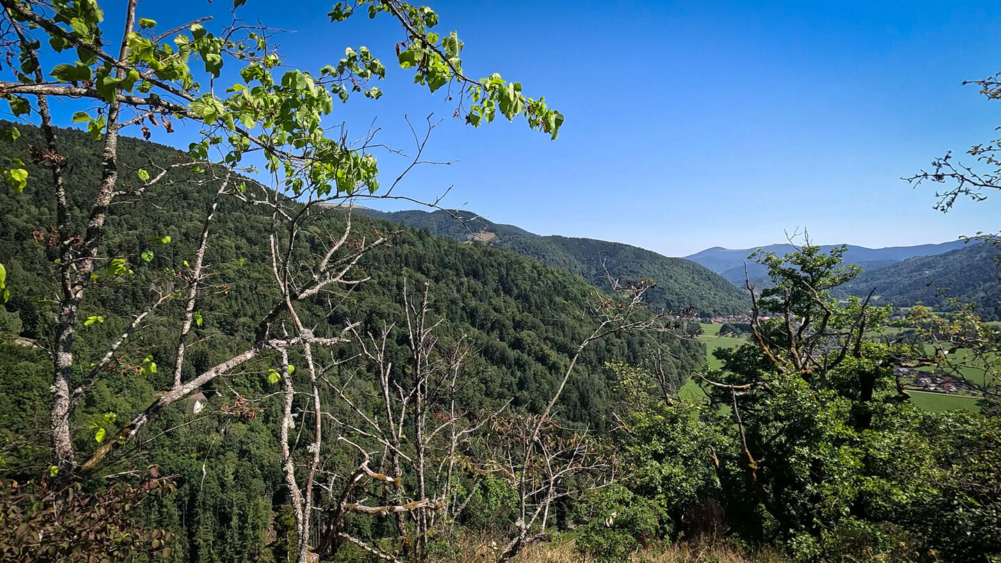 Blick vom Château de Wildenstein über das Tal