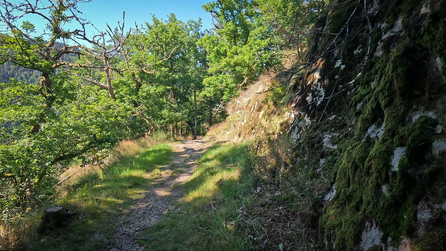 Wanderweg auf den 670 Meter hohen Schlossberg