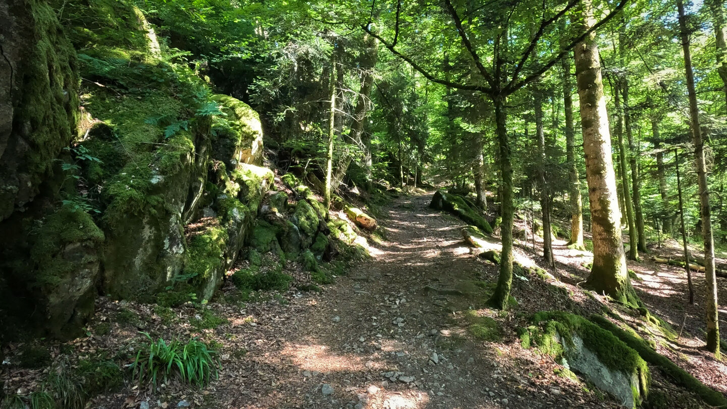 der Wanderweg zur Burgruine Wildenstein