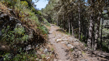 Wanderroute am Rande des Nationalparks mit dichter Vegetation