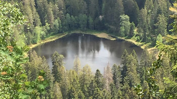 Der Schurmsee ein Karsee im Schwarzwald