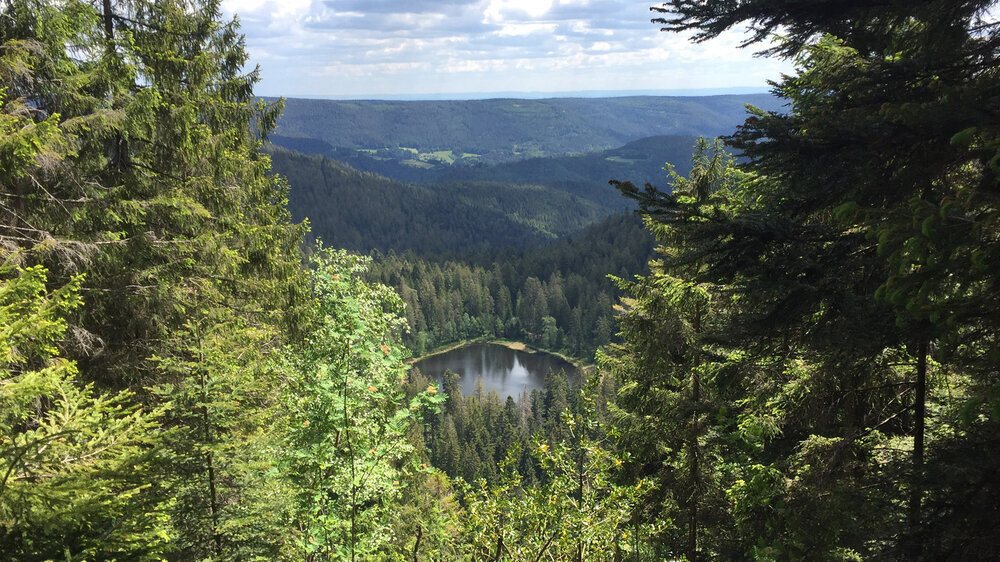 Überblick über den Schurmsee von der 960 Meter hohen Schurmseehöhe Überblick über Schurmsee von der 960 Meter hohen Schurmseehöhe