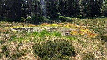 Hochmoor am Blindsee