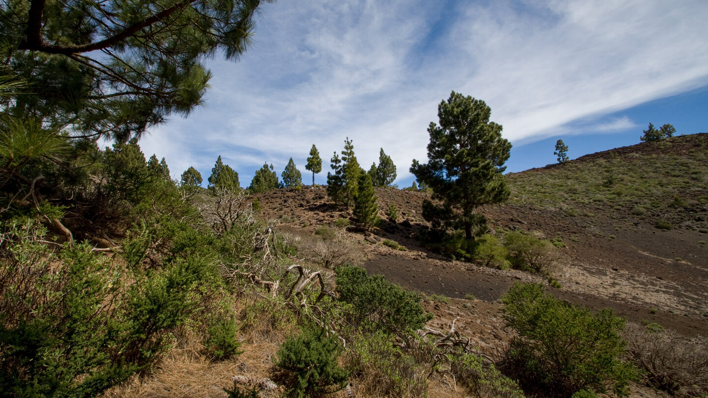 GR 131 entlang der Cumbre Vieja
