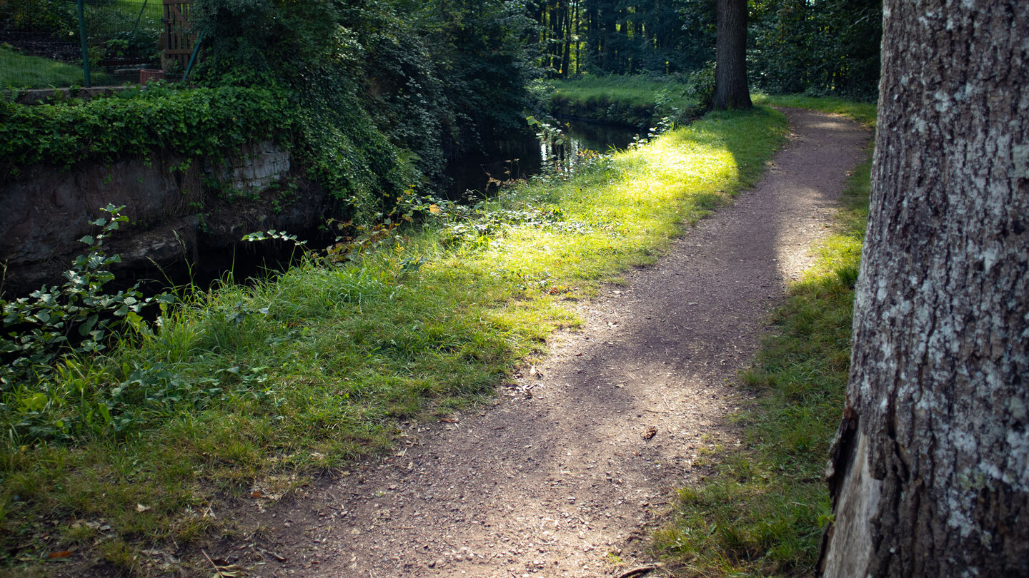 Wanderweg entlang des Ramsteiner Weiers