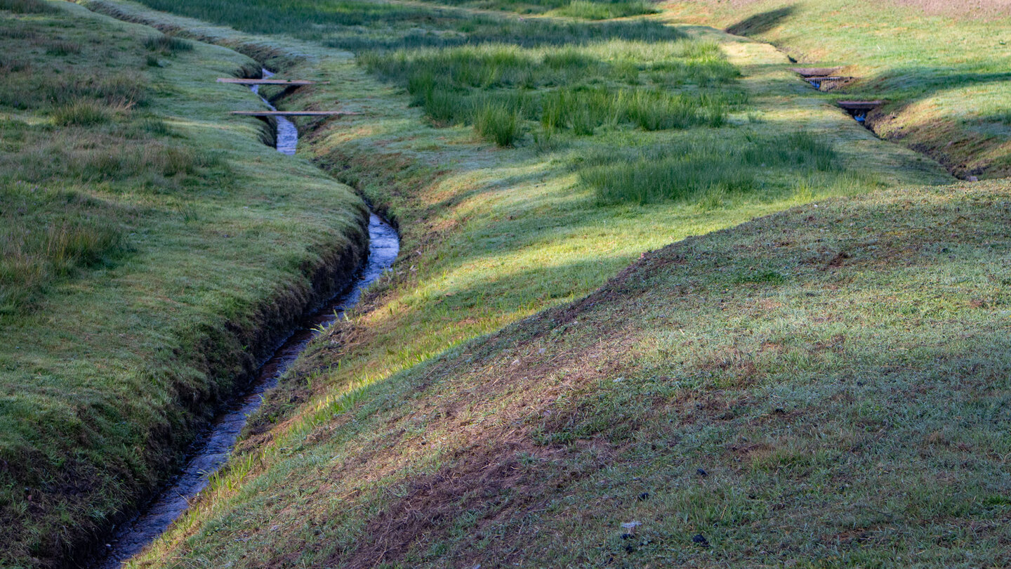 Wiesenbäche am Fischerhof