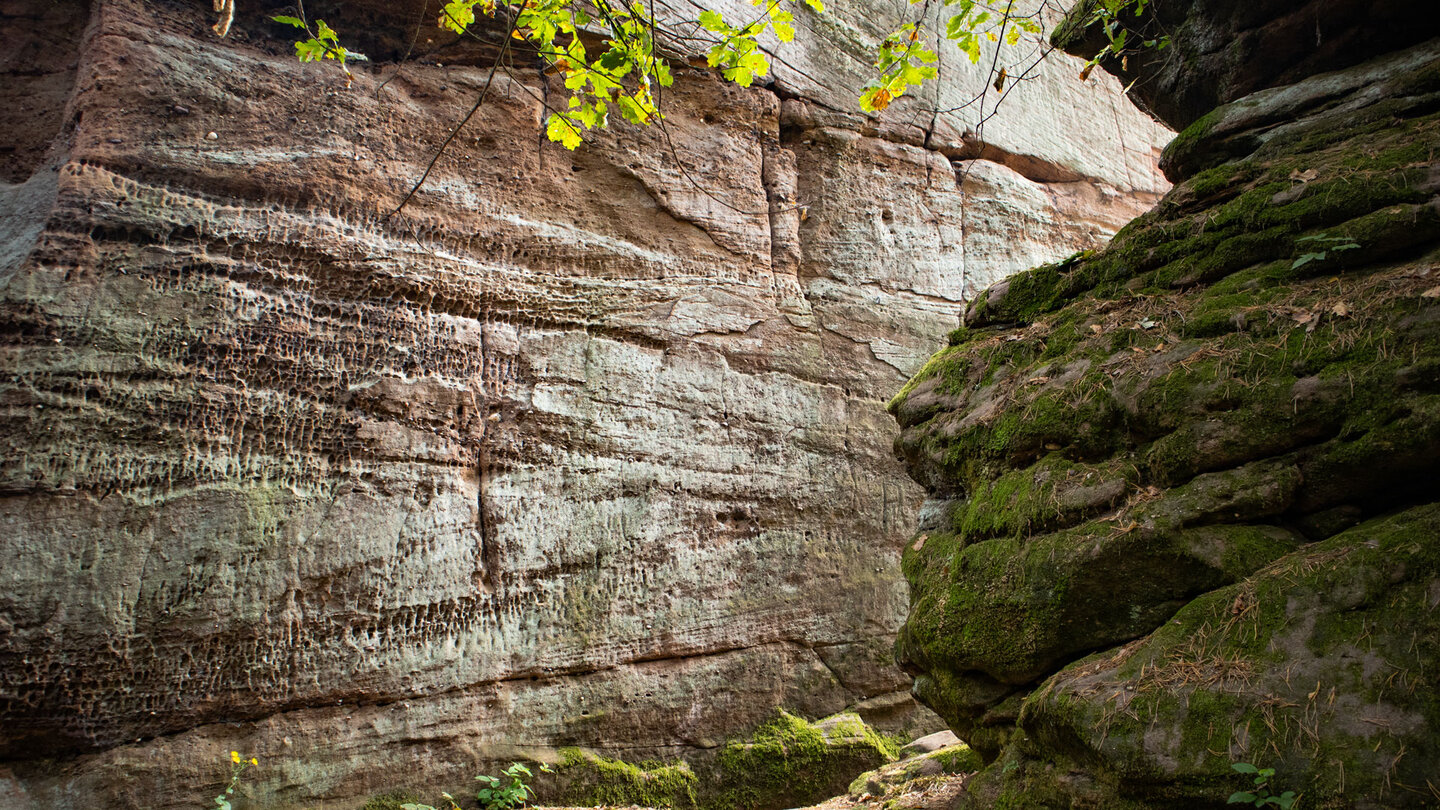 Felsspalte am Kleinen Zimmerfels