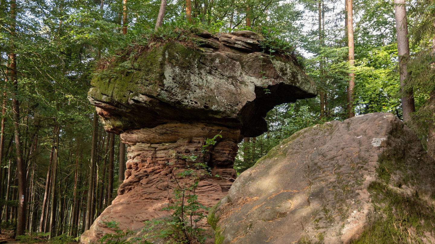 der Hexenpilz entlang der Tour zur Ruine Neudahn