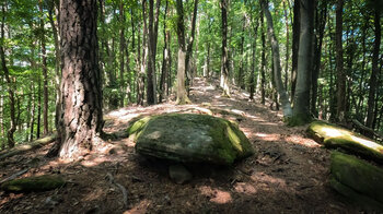 Wanderroute auf dem Immersberg im Wasgau