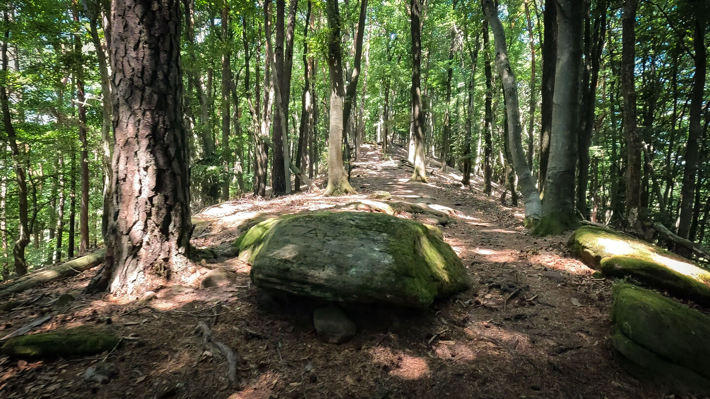 Wanderroute auf dem Immersberg im Wasgau Wanderroute auf dem Immersberg im Wasgau