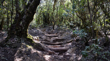 Wanderweg zur Cañada de Jorge