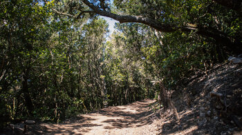 Aufwanderung  zur Bergstraße des Nationalparks