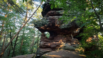 Falkenstein am Dimbacher Buntsandstein Höhenweg auf dem Dimberg