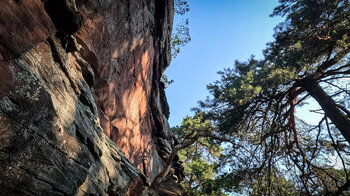 die Dimbergfelsen am Dimbacher Buntsandstein Höhenweg