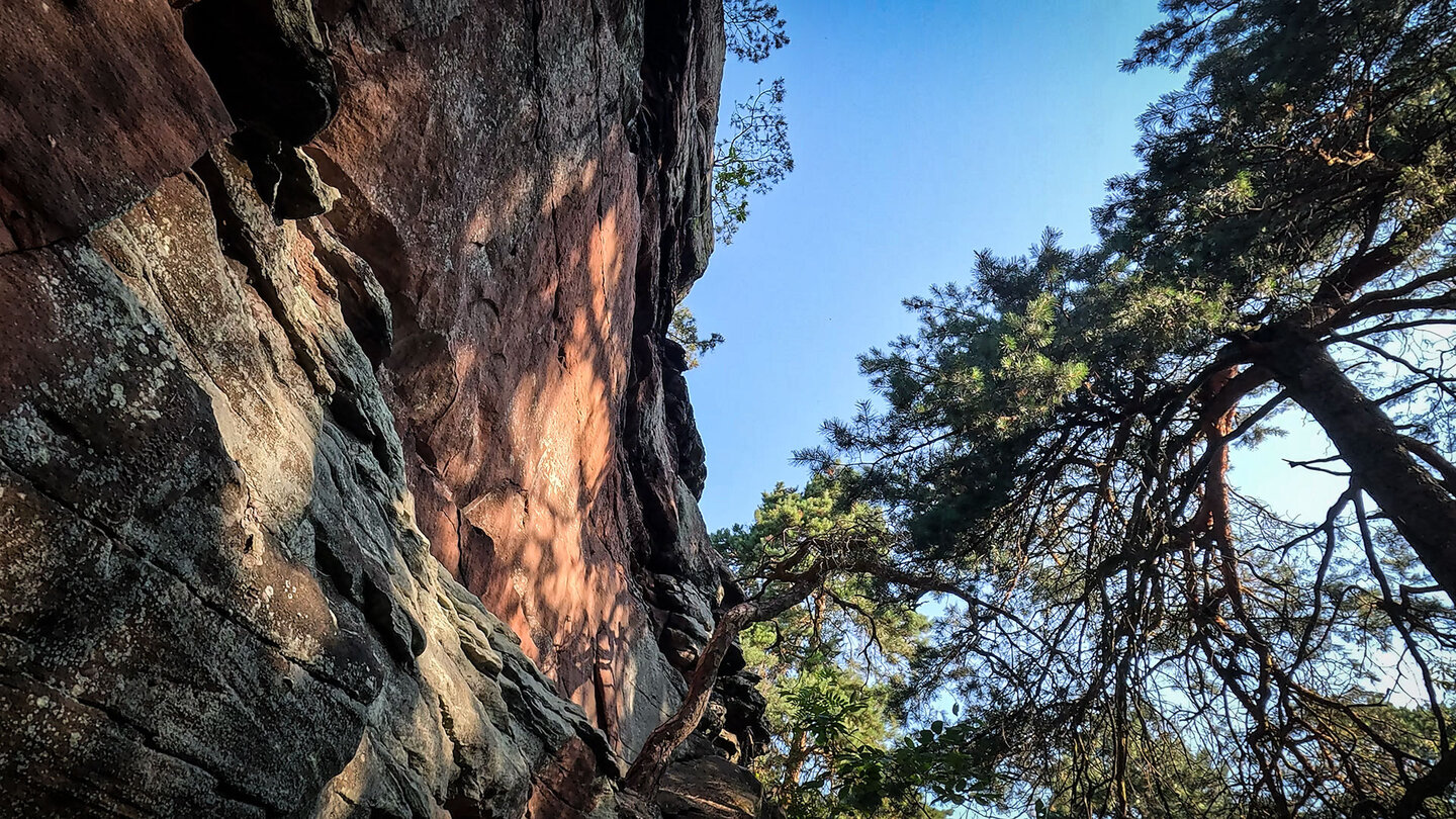 die Dimbergfelsen am Dimbacher Buntsandstein Höhenweg