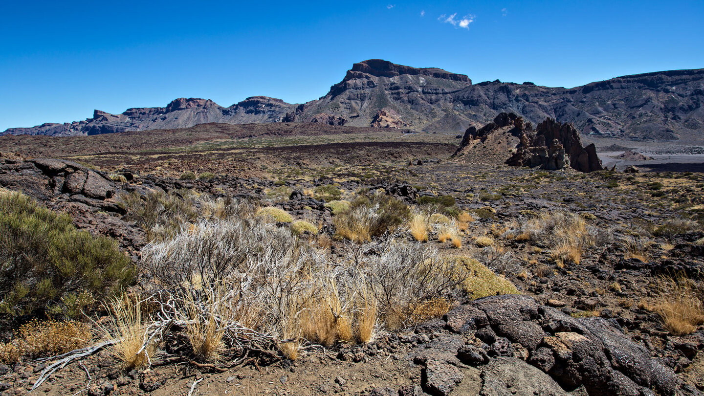 Ausblick vom Wanderpfad auf die Los Roques und den Guajara