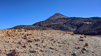 Blick zum Pico del Teide von einem hellen Bimssteinfeld