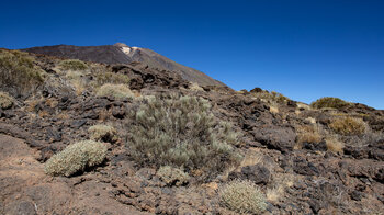 Blick zum Teide vom Wanderweg durch die Caldera