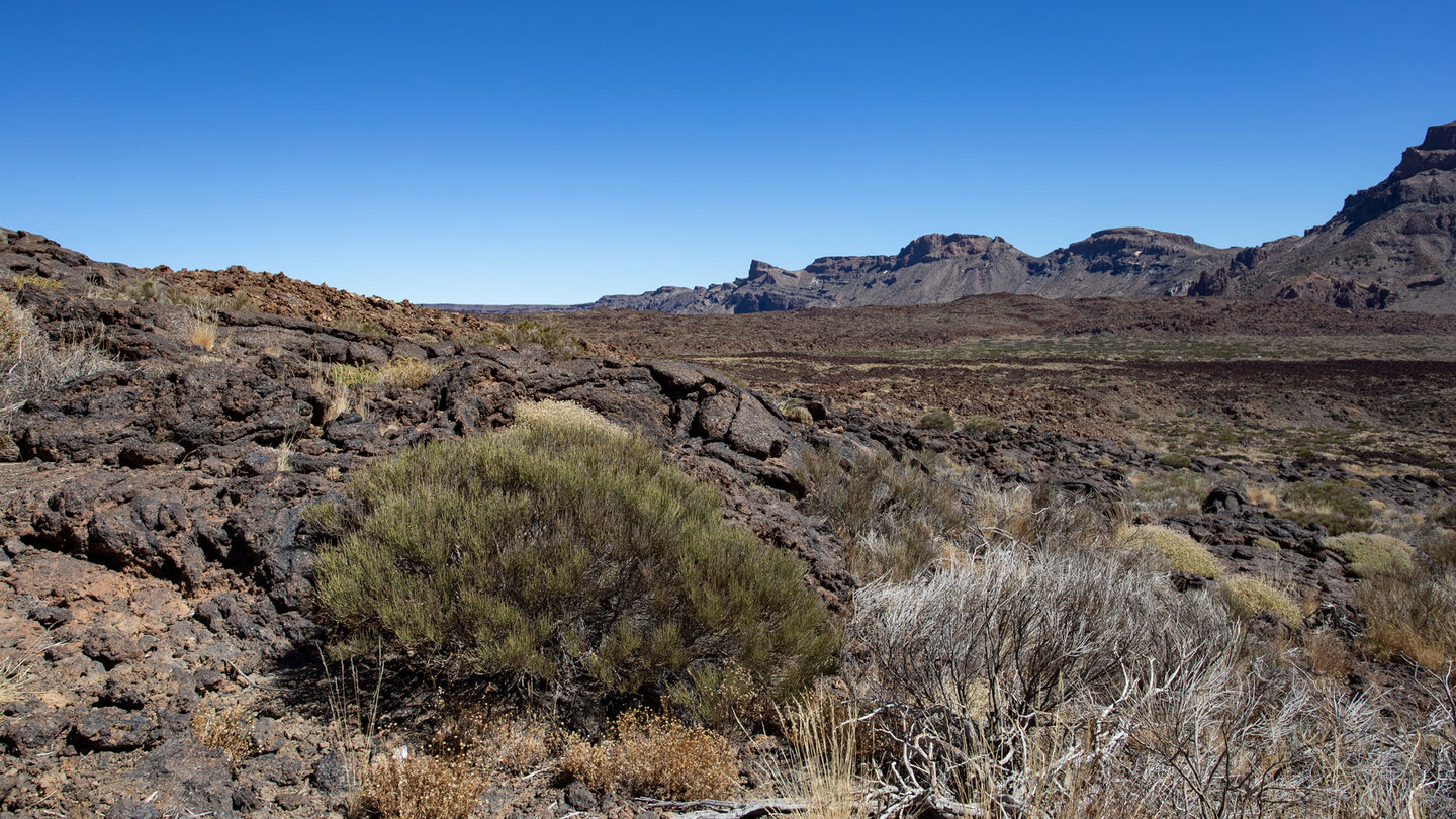 Blick auf Lavaformationen und die Caldera Randberge