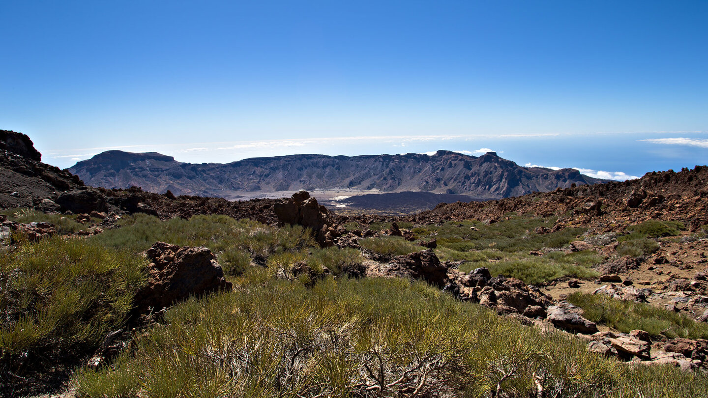 der Wanderpfad verläuft durch Ginsterbüsche mit Blick die Caldera