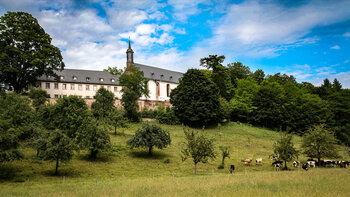 Benediktinerabtei Stift Neuburg in Heidelberg
