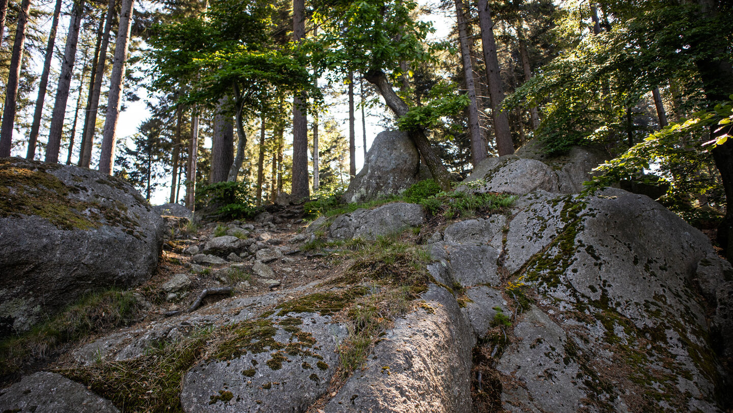 der Felsenweg am Palmfelsen