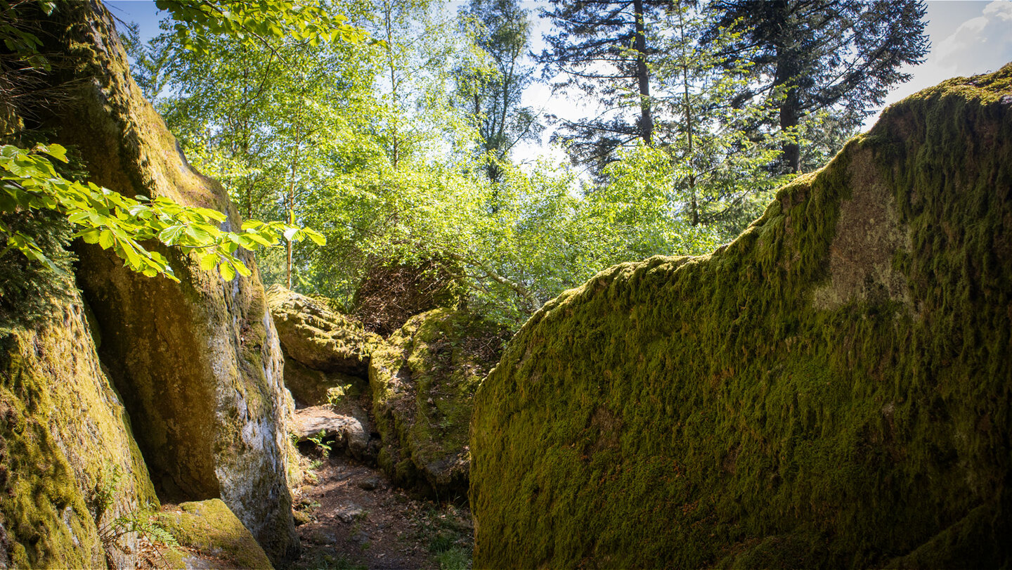 Wanderroute durch die Waldfelsen am Katzenschrofen