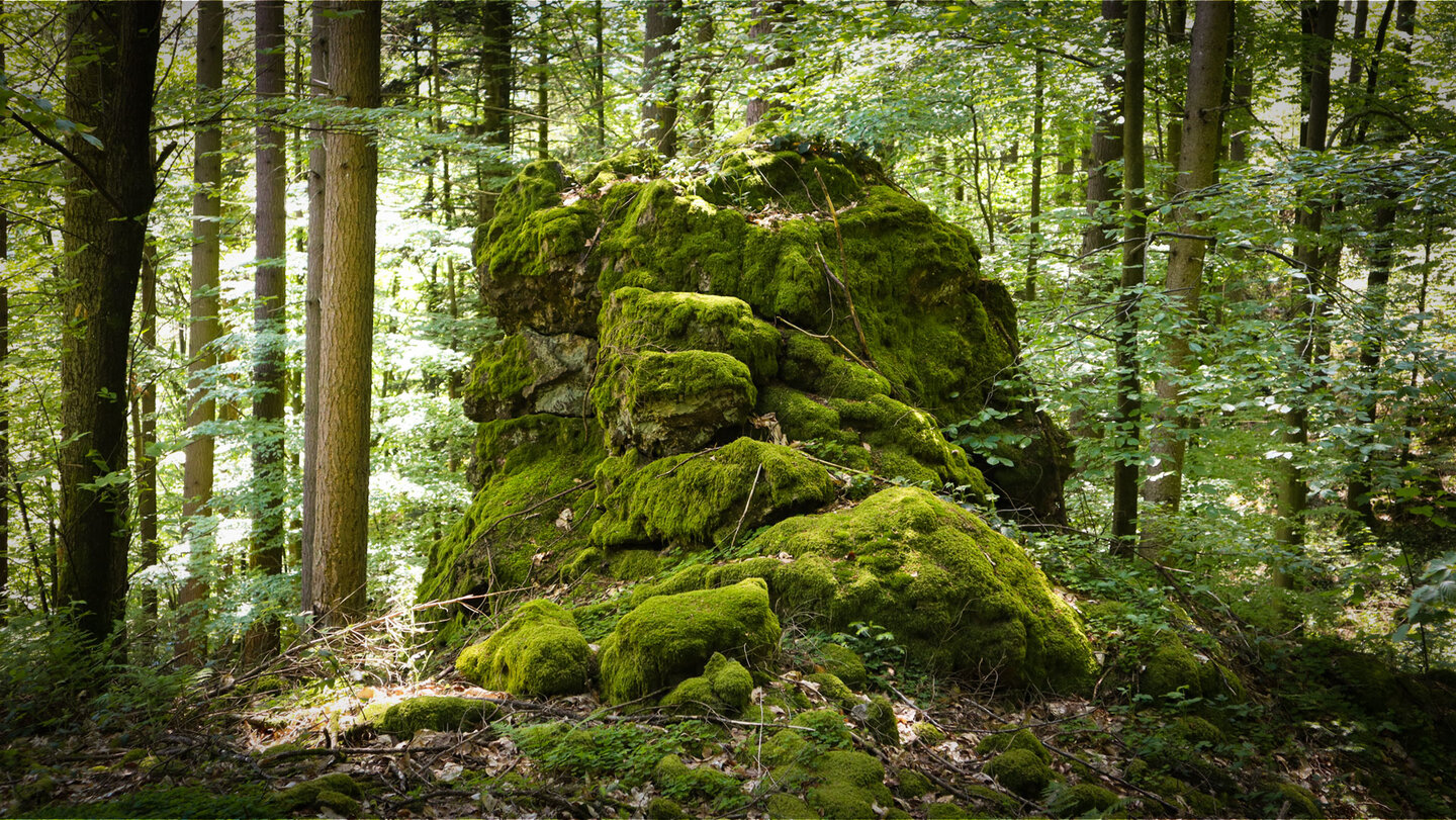 Wollsackfelsen beim Rappenschrofen