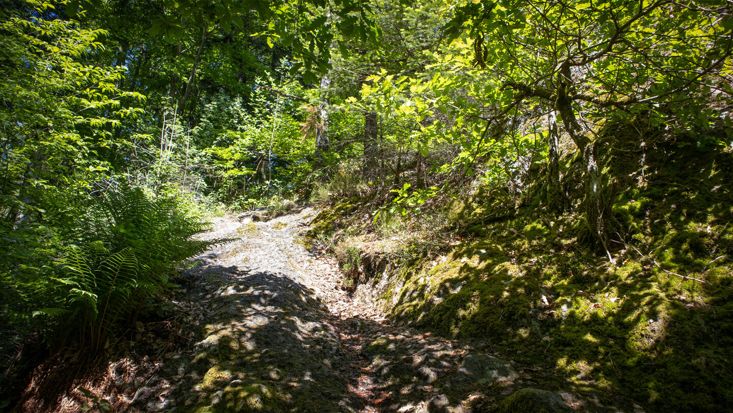 Felsenwegroute auf den Breitfelsen