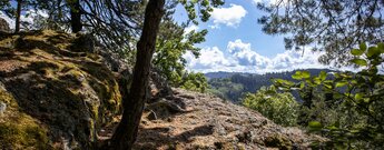 Blick vom Breitfelsen am Felsenweg Ottenhöfen