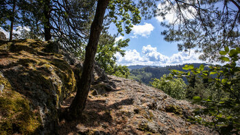 Blick vom Breitfelsen am Felsenweg Ottenhöfen