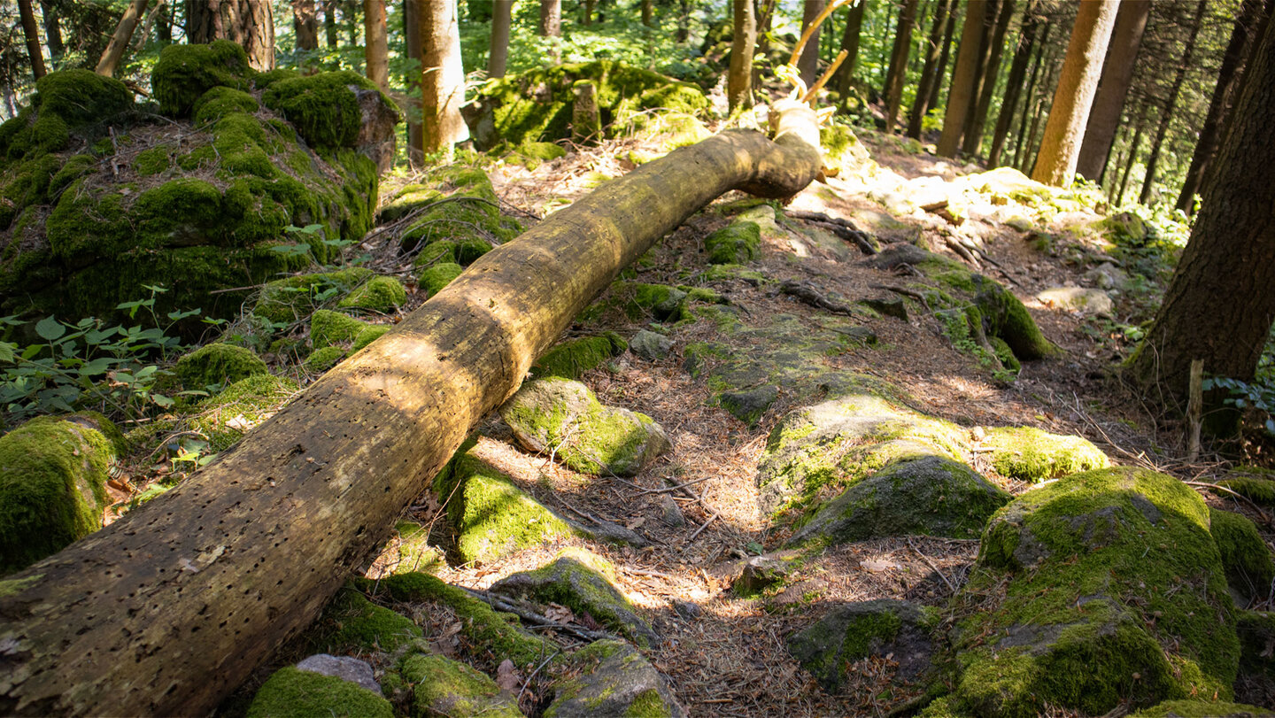 Wanderung auf dem Felsenweg