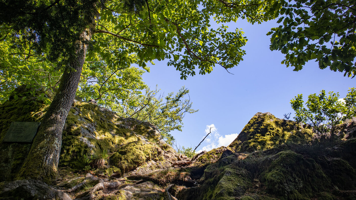 Aufstieg zum Spitzfelsen