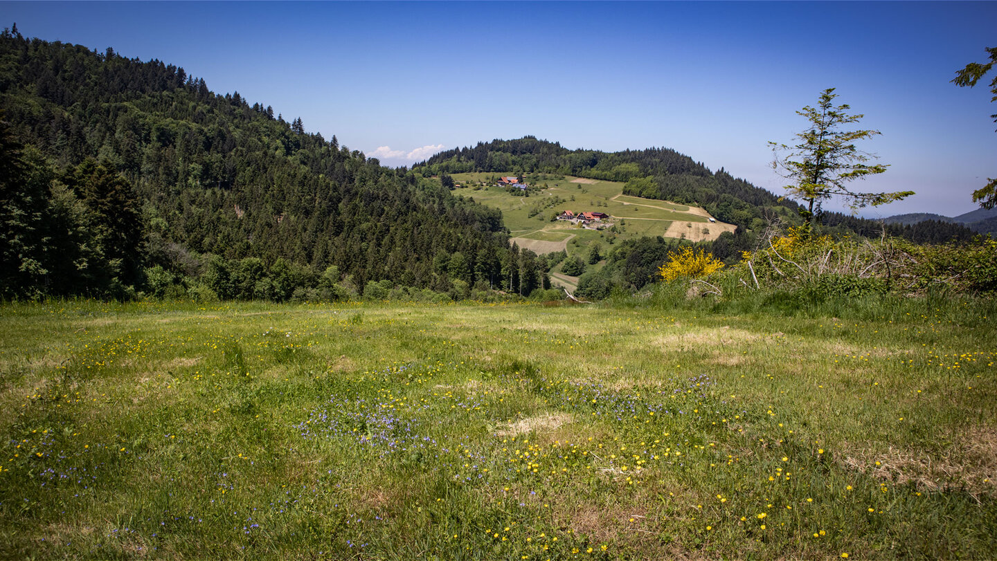 Blick auf Lauenbach im Schwarzwald
