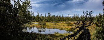 Hohlohsee bei Kaltenbronn