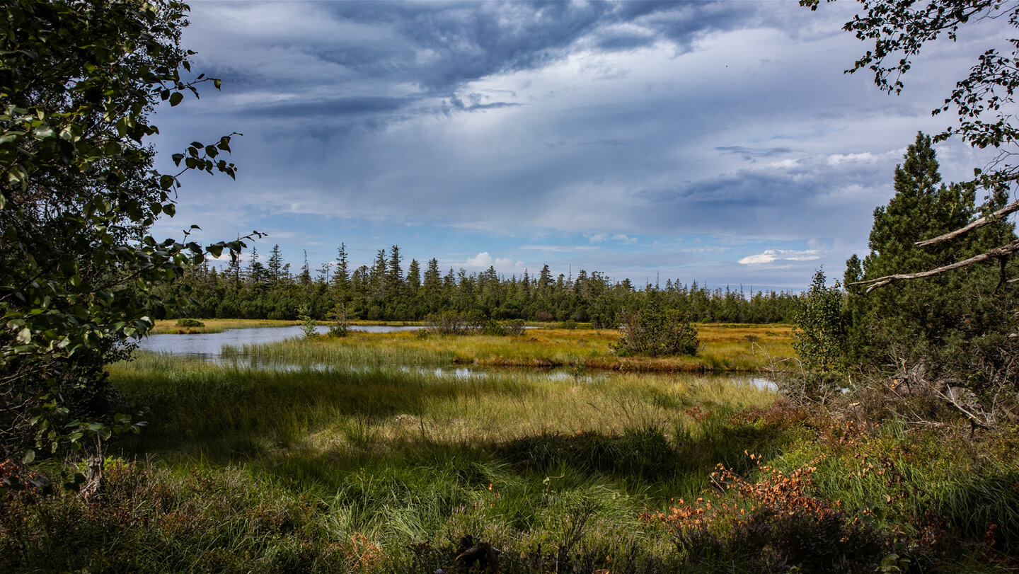Ausblick über das Hohlohmoor im Nordschwarzwald