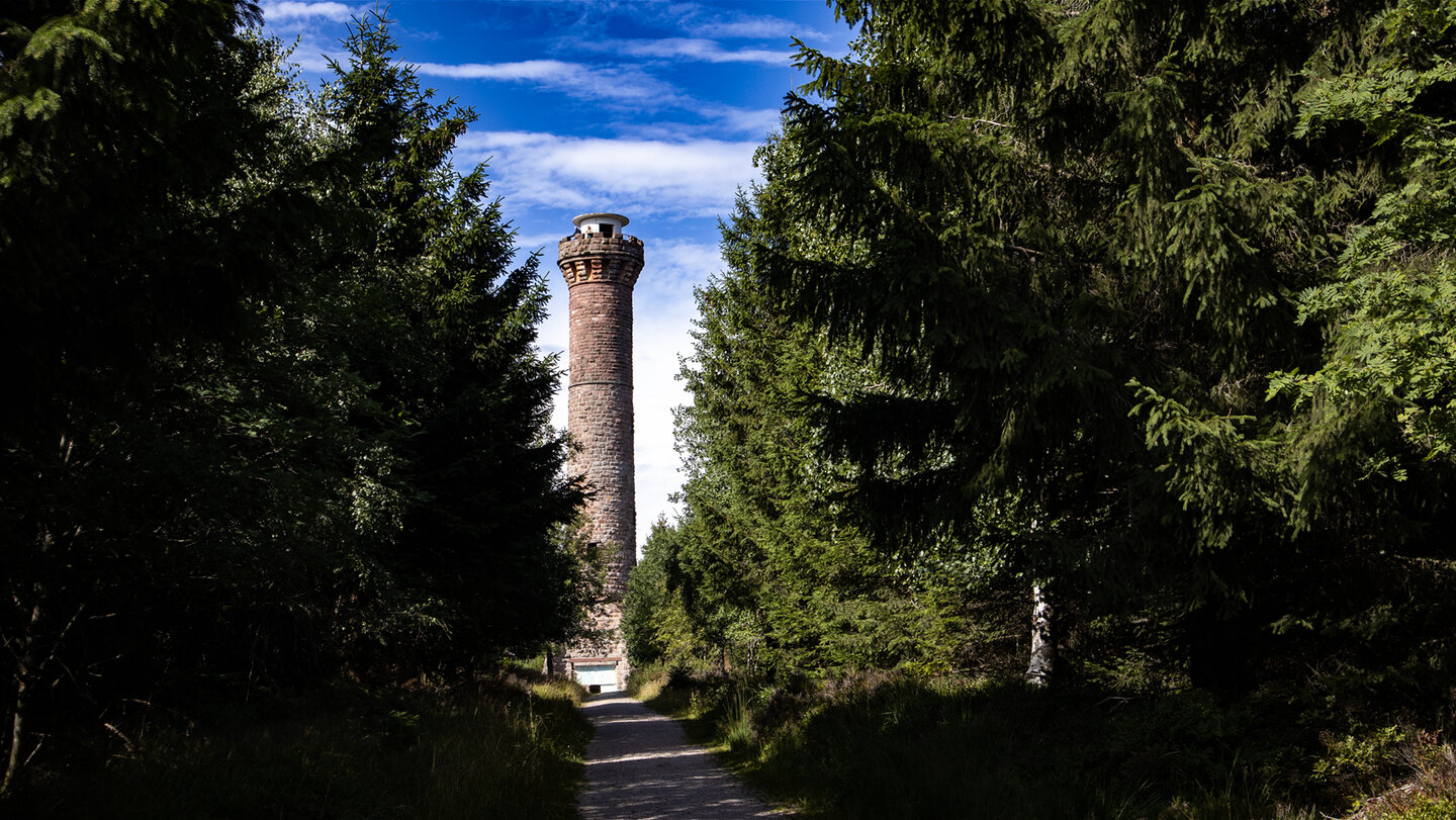 Weg zum Kaiser-Wilhelm-Turm bei Kaltenbronn