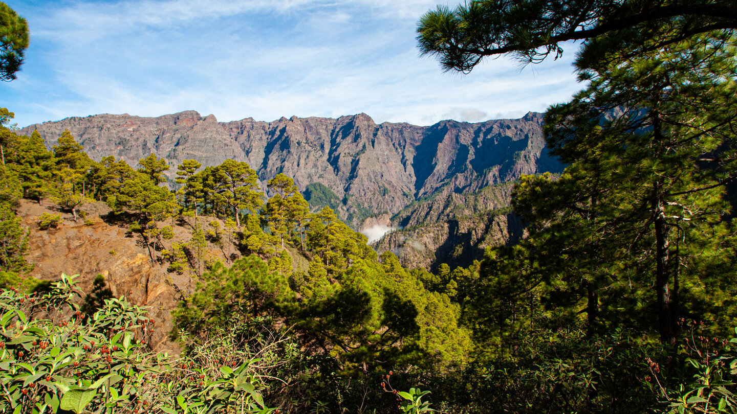 Ausblick über die kieferbewachsenen Berggrate in die Caldera de Taburiente
