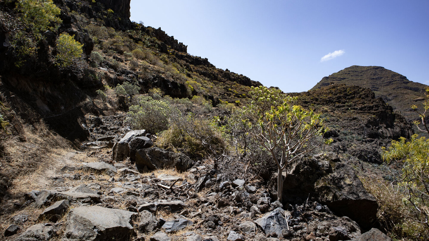 Wanderweg über felsiges Terrain entlang des Höhenrückens