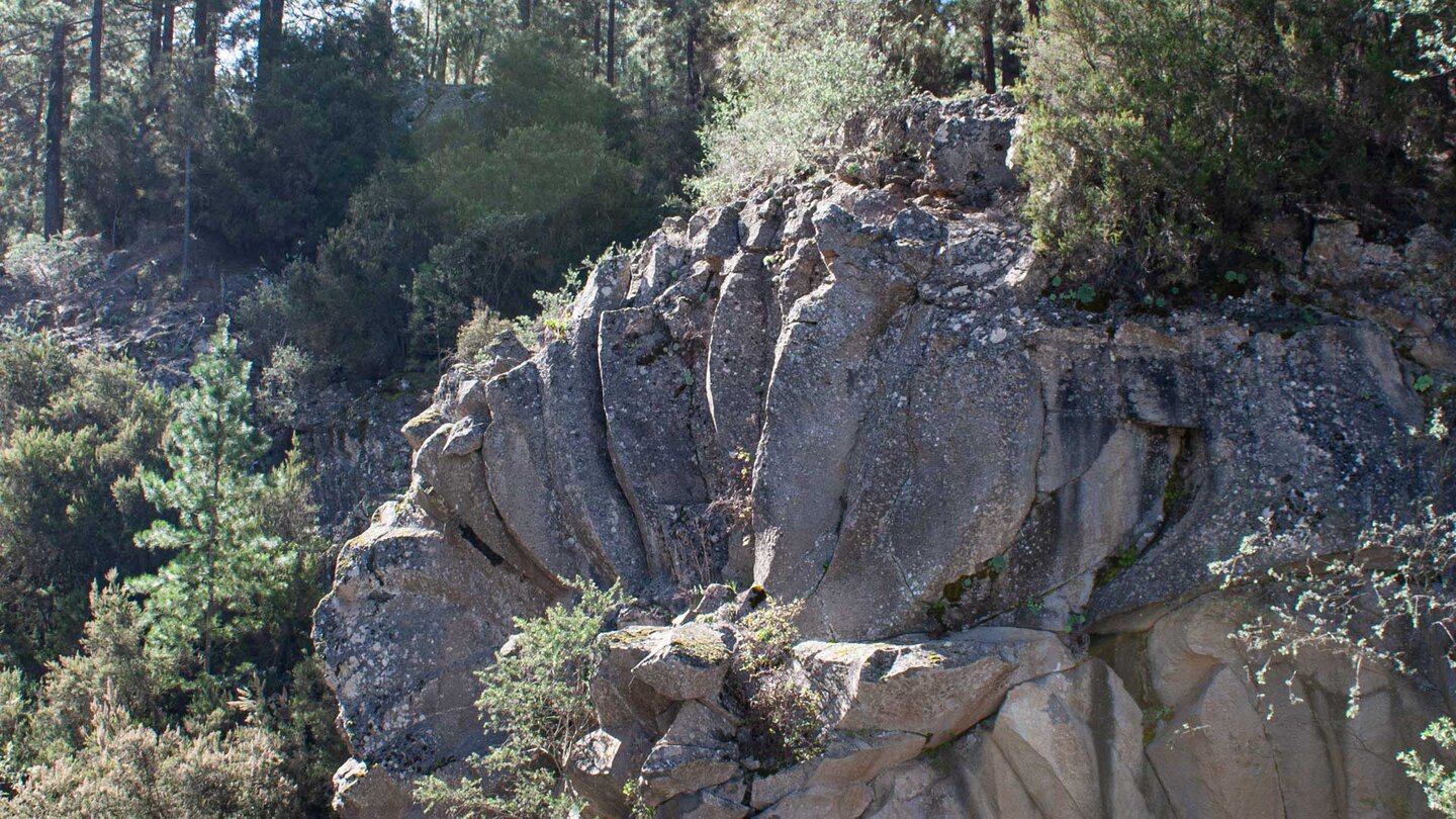 die Margarita de la Piedra ist ein Naturwunder im Naturpark Corona Forestal