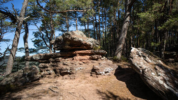 Felsgruppen am Kahlen Felsen bei Hauenstein