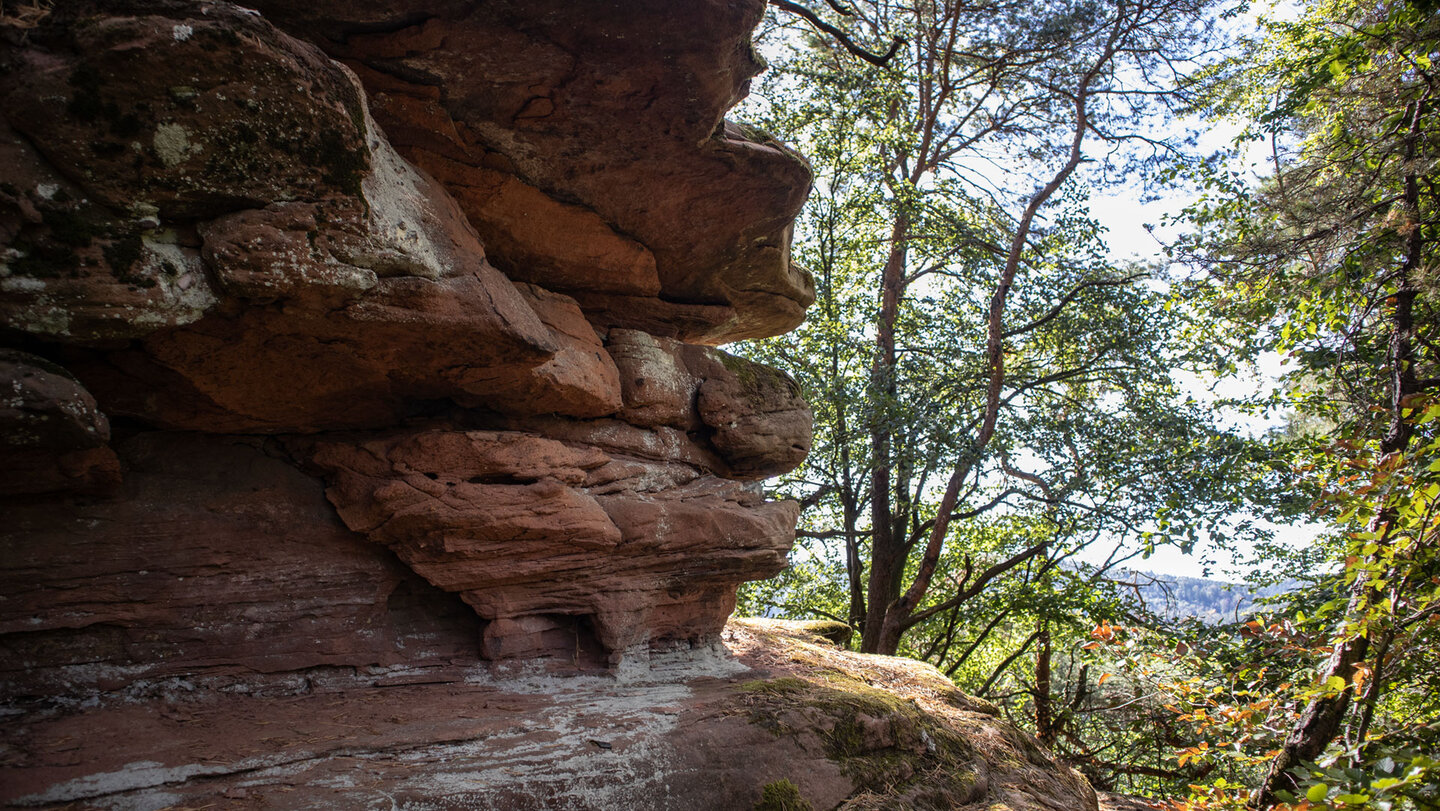 Buntsandsteinriff am Backelstein – auf dem Weg zur Fliehburg am Weimersberg